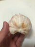 粵迎云南青皮蜜橘酸甜口感特早熟桔子蜜桔新鮮水果當季整箱青皮柑橘籽 5斤精選果【多汁酸甜】凈4.5斤 曬單實拍圖
