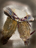 舟山梭子蟹鮮活特大野生大螃蟹新鮮冷凍海鮮水產(chǎn)海蟹飛蟹白蟹順豐 7-9兩/只【5斤凈重 特大肥壯】 曬單實(shí)拍圖