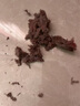 龜牌（Turtle Wax）硬殼玻璃水0度汽車去油膜強(qiáng)力去污除蟲(chóng)膠鳥(niǎo)糞雨刮水通用2L*6瓶 曬單實(shí)拍圖