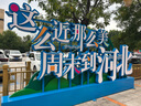 智國(guó)者【變焦丟丟桿】自拍三腳手機(jī)支架小巧便攜式旅游神器360度旋轉(zhuǎn)落地防抖三軸云臺(tái)跟拍攝多功能一體 曬單實(shí)拍圖