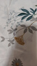 安睡寶（SOMERELLE）100%純棉床單單件全棉被單230x250cm 宿舍家用雙人1.5-1.8米床 曬單實拍圖