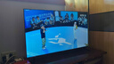 長(zhǎng)虹電視50P6S-G1 50英寸 2+32G 智能4K HDR 一鍵看直播 平板液晶LED電視機(jī) 家電以舊換新國(guó)家補(bǔ)貼20% 曬單實(shí)拍圖