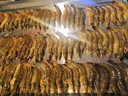 華爾（Huaer）速凍柜商用-45℃立式包子面團餃子速凍機-60℃榴蓮急凍柜液氮-80℃海鮮速凍冷柜 速凍柜【定制金】 曬單實拍圖