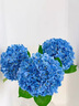 黛莉森仿真花假花高檔3D大繡球擺設客廳電視柜餐桌花落地裝飾品花卉擺件 深藍 曬單實(shí)拍圖