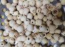 方家鋪?zhàn)又腥A老字號 蓮子400g 湘潭磨皮白蓮子去芯 百合桂圓銀耳羹食材 曬單實(shí)拍圖