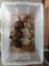 德瑞水族龜糧火焰龜烏龜飼料紅面蛋龜專(zhuān)用龜食地圖龜東錦龜通用龜飼料食物 3mm中粒680ml 曬單實(shí)拍圖