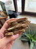 優(yōu)卓特級白術(shù)100g 精選正宗白術(shù)中藥材正品 可炒白術(shù)片磨粉術(shù)冬飲片 曬單實(shí)拍圖