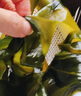 5斤新鮮鹽漬裙帶菜葉嫩苗海白菜海帶芽半干貨火鍋食材燙三秒商用 鹽漬裙帶菜葉1斤 曬單實(shí)拍圖