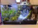 萌嘟星寵魚(yú)缸造景發(fā)泡膠沉木色水族箱泡沫膠假山裝飾雕刻雨林缸泡沫900g 曬單實(shí)拍圖