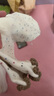 襪子女中筒襪木耳邊蝴蝶結(jié)點子紗襪子ins可愛小狗女士百搭堆堆襪 直播專享(隨機發(fā)) 1雙 曬單實拍圖