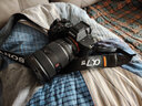 索尼（SONY）ILCE-7M4/A7M4全畫(huà)幅微單數碼相機專(zhuān)業(yè)級a74 α7IV 單機身+24-70F2.8二代 官方標配+天碩240G內存卡 1200M 曬單實(shí)拍圖