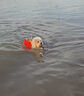 爾山集狗狗救生衣寵物游泳衣服中型小型犬大型犬泰迪柴犬柯基比熊邊牧 紅色M（38-50脖圍 10-20斤 曬單實拍圖