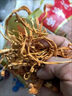 胖東來(lái)品質(zhì)蟲(chóng)草花特級新鮮干貨北蟲(chóng)草金菇煲湯材料羊肚菌野L生 嘗鮮：【1袋】不夠吃 曬單實(shí)拍圖
