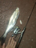 夢(mèng)輝炮彈之子狗水面系釣翹嘴軍魚(yú)水面之子狗路亞餌 白條 5克 曬單實(shí)拍圖