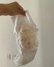 碧芭寶貝大魚(yú)海棠pro拉拉褲XL碼試用便攜裝4片(12-17kg)尿不濕 曬單實(shí)拍圖