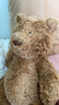 Jellycat巴塞羅熊動物毛絨玩偶兒童安撫公仔小熊潮玩教師節(jié)生日禮物 巴塞羅熊 Medium 曬單實拍圖