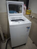 東芝（TOSHIBA）波輪洗衣機全自動(dòng) 8公斤大容量 DB-8T06 白色 不彎腰 除菌螨 宿舍租房神器 以舊換新 家電國家補貼 曬單實(shí)拍圖