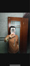 哥弟（GIRDEAR）女裝襯衫通勤氣質(zhì)百搭修身加絨親膚長(cháng)袖襯衣1300820 灰色 L 4碼 曬單實(shí)拍圖