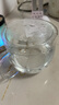 美斯尼 茶杯耐熱玻璃杯水杯泡花茶杯帶過(guò)濾加厚辦公杯茶水分離杯喝水杯 茗韻杯 500ml 曬單實(shí)拍圖