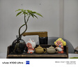 vivo X系列 vivo X100/X100 pro /X200  二手手機 顏色查看質(zhì)檢報告 vivo X100Ultra 曬單實拍圖