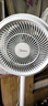 美的（Midea）【暴風(fēng)循環(huán)】空氣循環(huán)扇大風(fēng)量搖頭電風(fēng)扇家用臺式落地扇輕音臥室節(jié)能小風(fēng)扇柔風(fēng)輕羽扇 FGA24TQ 曬單實拍圖