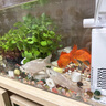 JCZS德國魚缸過濾器凈水循環(huán)三合一水泵小型氧氣泵增氧制氧一體機吸糞 高品質(zhì) 黑科技 4W四合一過濾器 【20-30CM 曬單實拍圖