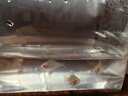 桃心金波子阿凡達(dá)鳳凰魚皮卡丘寶籃球熱帶觀賞魚活體熱帶魚觀賞魚 1.5-2cm中號(hào)金波子2條 曬單實(shí)拍圖