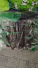 星工 浸膠勞保手套 耐磨防滑防油掛膠工業(yè)工地防護手套 12付XGS-J10 曬單實拍圖