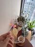一品工坊景德鎮(zhèn)柴窯蓋碗老陶泥三才蓋碗純手繪釉下青花寫意蝦趣冰裂泡茶杯 青花蝦趣蓋碗 曬單實拍圖