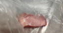 【有機】直隸冰鮮黑豬嫩里脊肉 350g 曬單實(shí)拍圖
