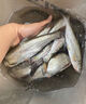 翹嘴小藥釣魚餌料黑坑野釣專攻釣大翹嘴白條魚專用餌料誘魚開口劑 1瓶【翹嘴狂提】新手也能爆護(hù) 曬單實(shí)拍圖