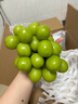 甜萌果蔬晴王陽光玫瑰葡萄【JD順豐/多地次日達】香印青提子新鮮水果禮盒 3斤裝【嘗鮮貴運費】凈2.5斤 鉑金級｜單果8g-12g【嘗鮮優(yōu)果】 曬單實拍圖
