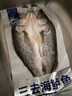 鮮京采三去海鱸魚3斤/3條 生鮮魚類 白蕉鱸魚地標(biāo) 無冰凈重3斤 源頭直發(fā) 曬單實拍圖