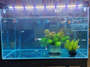 吉印刀鋒s魚(yú)缸燈led燈防水全光譜魚(yú)缸照明燈水草燈小型超白魚(yú)燈56cm 曬單實(shí)拍圖