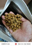伯納天純中大型犬全價(jià)成年犬糧金毛寵物主糧羊肉蔓越莓15kg/30斤 曬單實(shí)拍圖