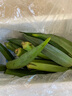 新鮮水果秋葵黃秋葵現(xiàn)摘現(xiàn)發(fā)生鮮蔬菜涼拌燒烤火鍋食材減肥瘦身 現(xiàn)摘鮮嫩秋葵（試吃裝） 500g 曬單實拍圖