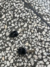 喜德盛山地自行車(chē)黑客500 X6鋁合金車(chē)架27.5大輪徑 油壓碟剎24速變速 深灰/白17(身高170-185） 曬單實(shí)拍圖