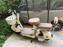 臺鈴電動自行車【國家補貼】小錦鯉50公里長續(xù)航電動車鉛酸電池48V13Ah電瓶車新國標杏仁棕 曬單實拍圖