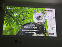 極米Z6X 第五代 投影儀家用 輕薄投影機(jī)高清 家庭影院丨一體式云臺 2年質(zhì)保 國家補(bǔ)貼 曬單實(shí)拍圖