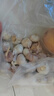 【百萬單爆品】紫白皮蒜水果大蒜超市生鮮蔬菜調料即食蒜 大蒜 500g 單果3.5-5cm 曬單實拍圖