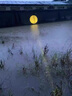 飛利浦夜釣燈釣魚(yú)燈野釣強光超亮電筒激光大功率戶(hù)外充電式長(cháng)續航支架 超長(cháng)續航釣魚(yú)燈+1.5米支架+燈包 曬單實(shí)拍圖