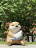 Canon佳能600D 700D 850D 750D學(xué)生入門級(jí)二手?jǐn)?shù)碼單反相機(jī)人像小痰盂鏡頭高清旅游 550D+永諾50 1.8二代鏡頭 95新 曬單實(shí)拍圖