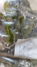 鮮海帶 鹽漬海帶結(jié) 海帶扣 火鍋食材 海洋蔬菜 大連鹽漬鮮海帶結(jié)3斤 曬單實拍圖