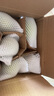 京鮮生山東煙臺萊陽秋月梨凈重3斤單果250g+ 新鮮水果 源頭直發(fā)包郵 曬單實拍圖