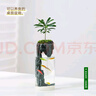 喜鵲說(shuō)竹柏苔蘚微景觀(guān)生態(tài)瓶小魚(yú)缸辦公桌面羅漢松小盆栽綠植好養送禮物 羅漢松-深潭景觀(guān)杯 帶盆栽好 曬單實(shí)拍圖