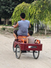 永久三輪車(chē)老人腳踏腳蹬腳踩自行單車(chē)老年人力車(chē)代步小型輕便成人 加大80斗酒紅色-正新輪胎-雙鏈條 曬單實(shí)拍圖