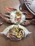 舟山梭子蟹鮮活特大野生大螃蟹新鮮冷凍海鮮水產(chǎn)海蟹飛蟹白蟹 特大肉蟹 【凈重8兩以上/只】 5斤 曬單實(shí)拍圖