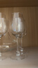 CLITON紅酒杯套裝高腳杯分酒器10件酒具套裝 家用葡萄酒杯玻璃醒酒器H款 曬單實(shí)拍圖