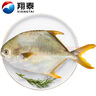翔泰 海南金鯧魚凈重900g 2條裝  魚類生鮮 燒烤 火鍋食材 海鮮水產(chǎn) 曬單實(shí)拍圖