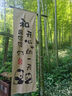 百麗（Belle）亮片休閑涼鞋女商場款厚底增高涼鞋B4A1DBL4 米色 37 (235mm) 曬單實(shí)拍圖